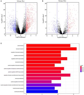 Potential Prognostic Immune Biomarkers of Overall Survival in Ovarian Cancer Through Comprehensive Bioinformatics Analysis: A Novel Artificial Intelligence Survival Prediction System